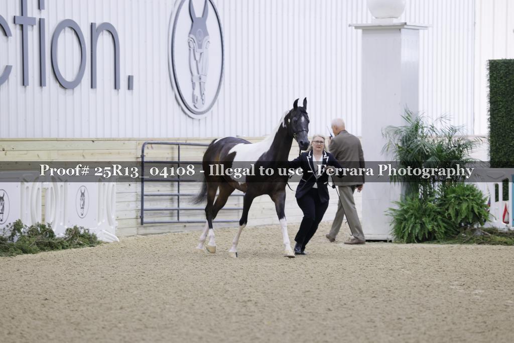 Proof 25R13_04108