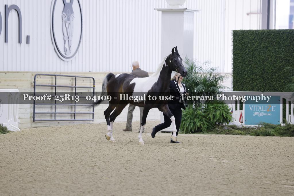 Proof 25R13_04109