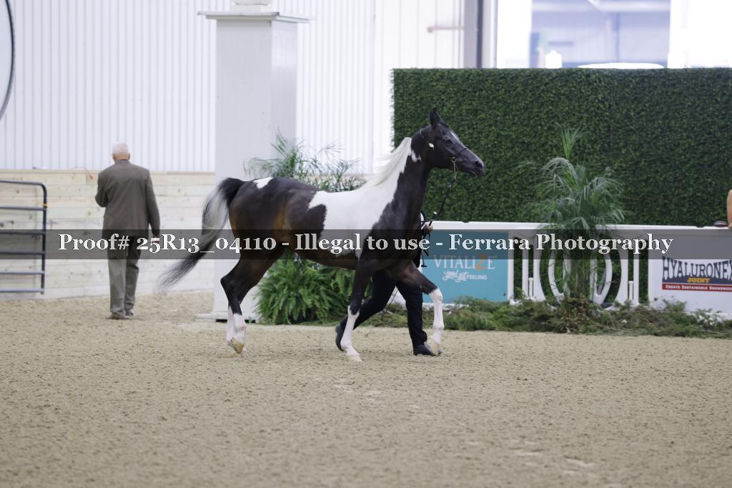 Proof 25R13_04110