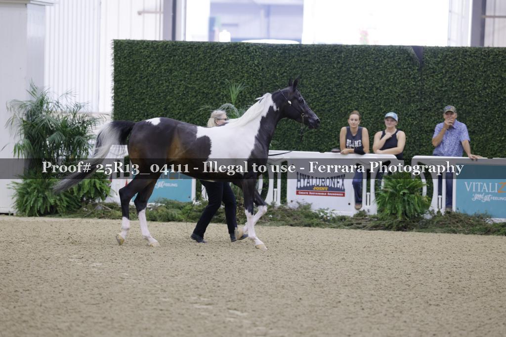 Proof 25R13_04111