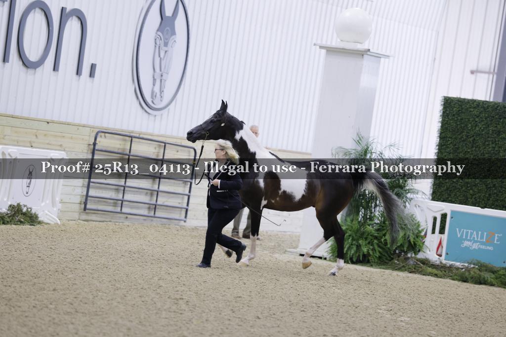 Proof 25R13_04113