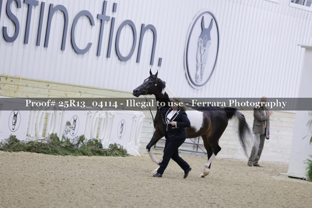 Proof 25R13_04114