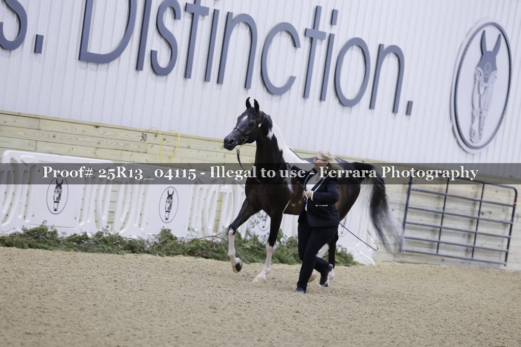 Proof 25R13_04115
