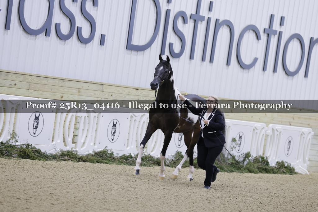Proof 25R13_04116