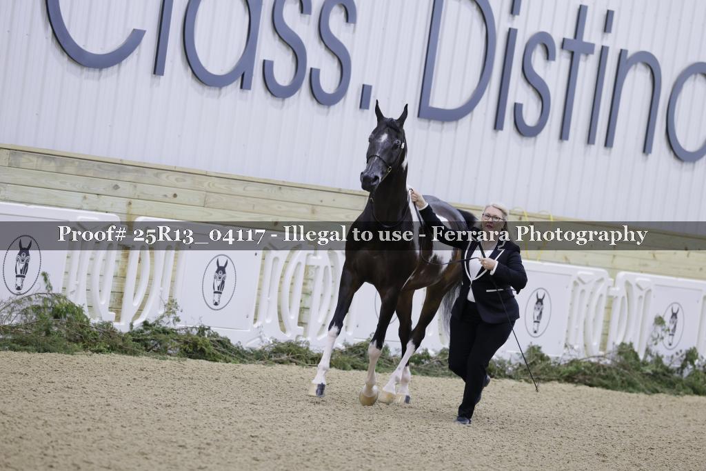 Proof 25R13_04117