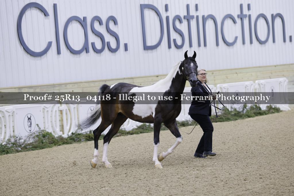 Proof 25R13_04118