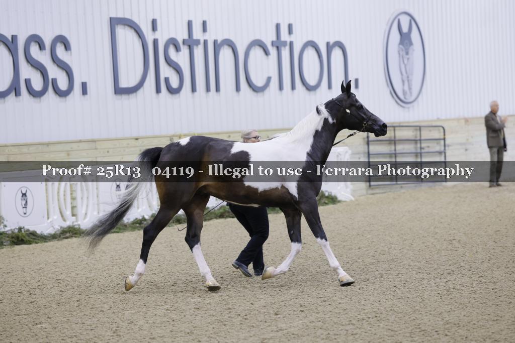 Proof 25R13_04119