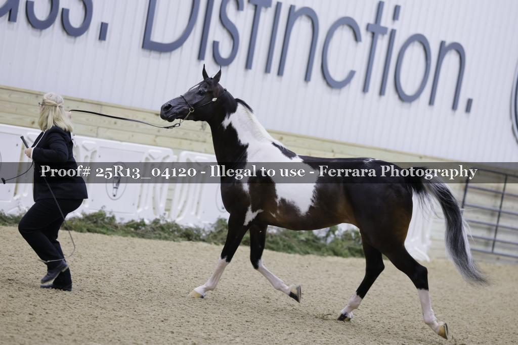 Proof 25R13_04120