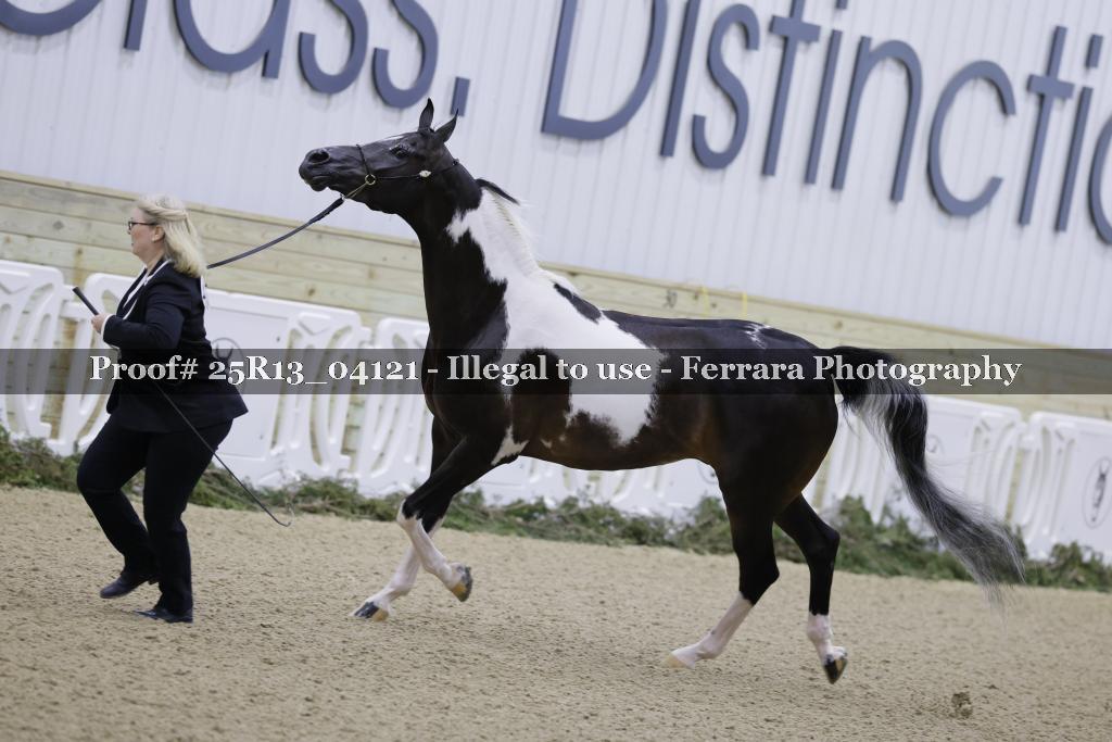 Proof 25R13_04121