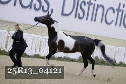 25R13_04121 proof