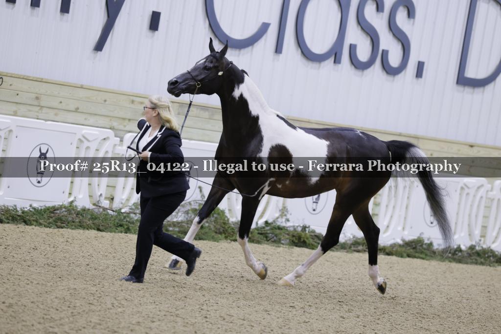 Proof 25R13_04122