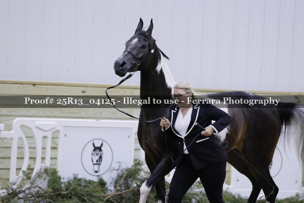 Proof 25R13_04125