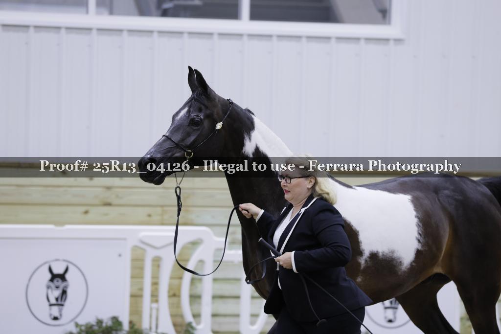 Proof 25R13_04126