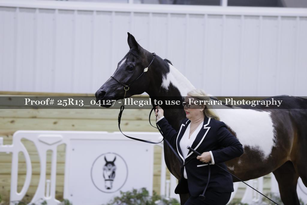Proof 25R13_04127