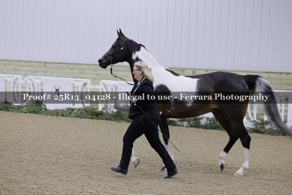 Proof 25R13_04128