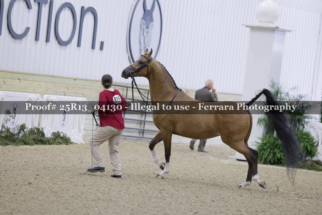 Proof 25R13_04130