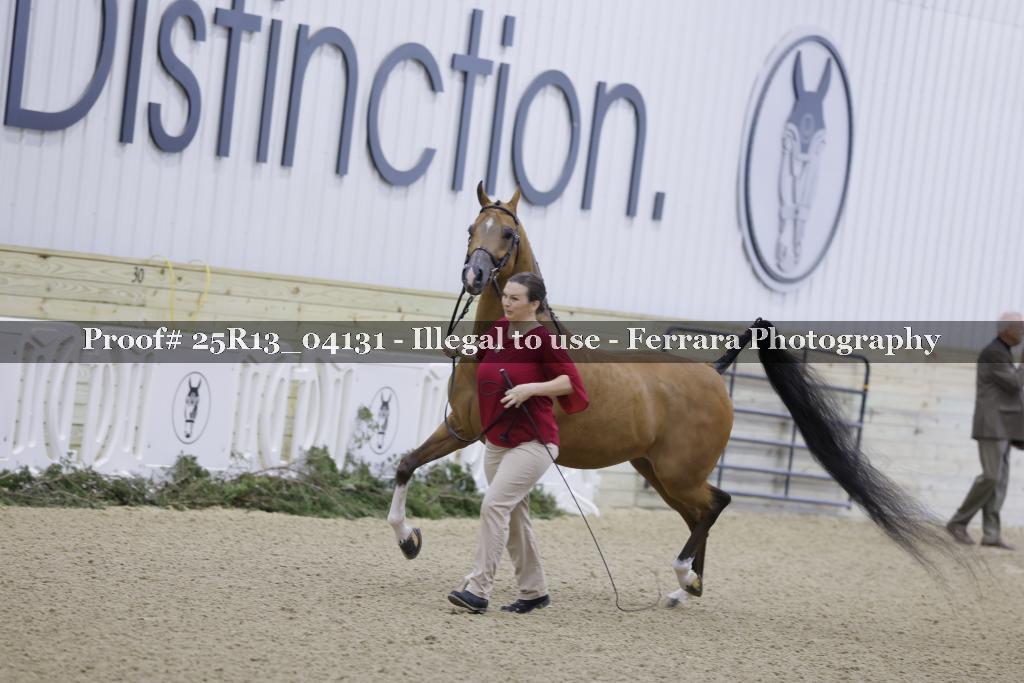 Proof 25R13_04131