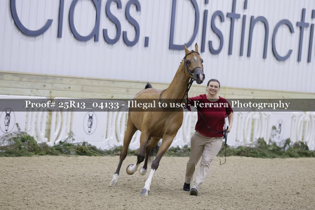 Proof 25R13_04133
