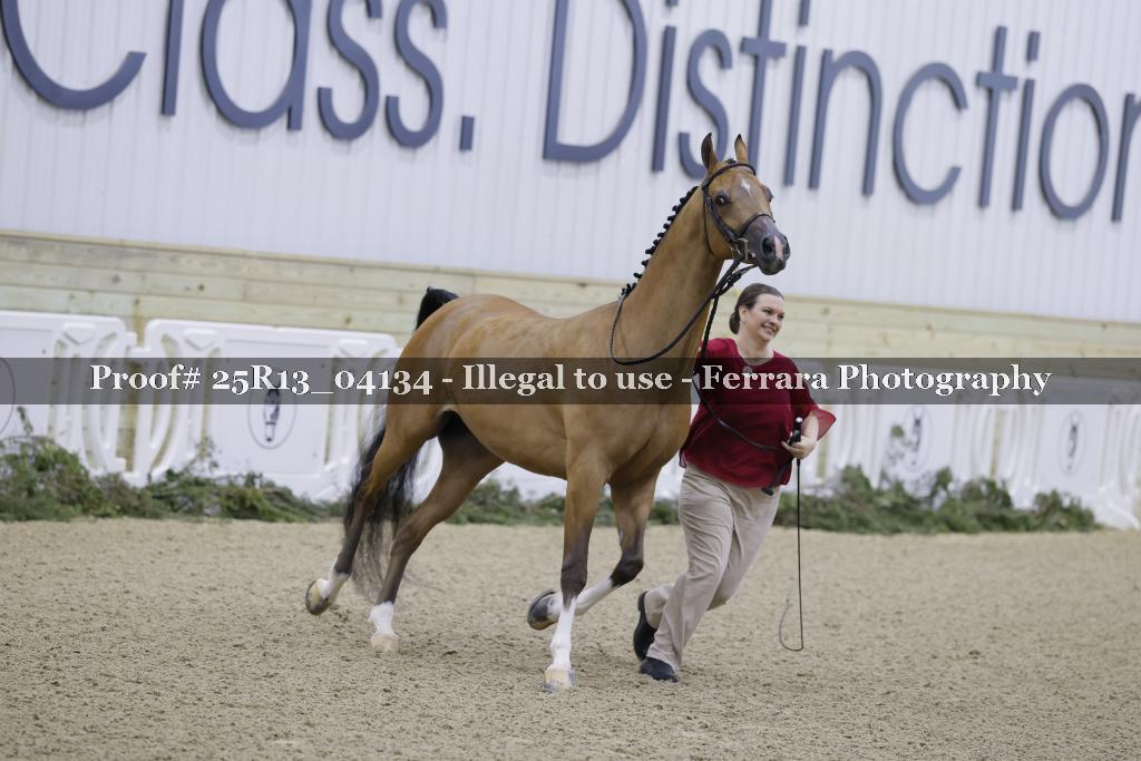 Proof 25R13_04134