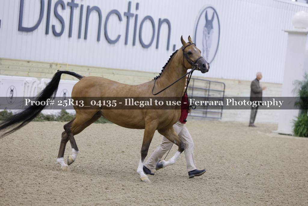 Proof 25R13_04135