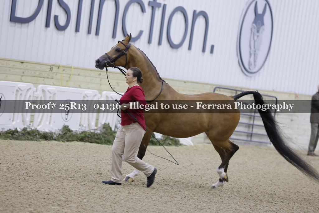 Proof 25R13_04136