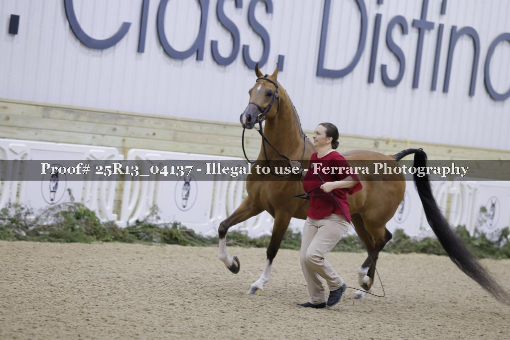 Proof 25R13_04137