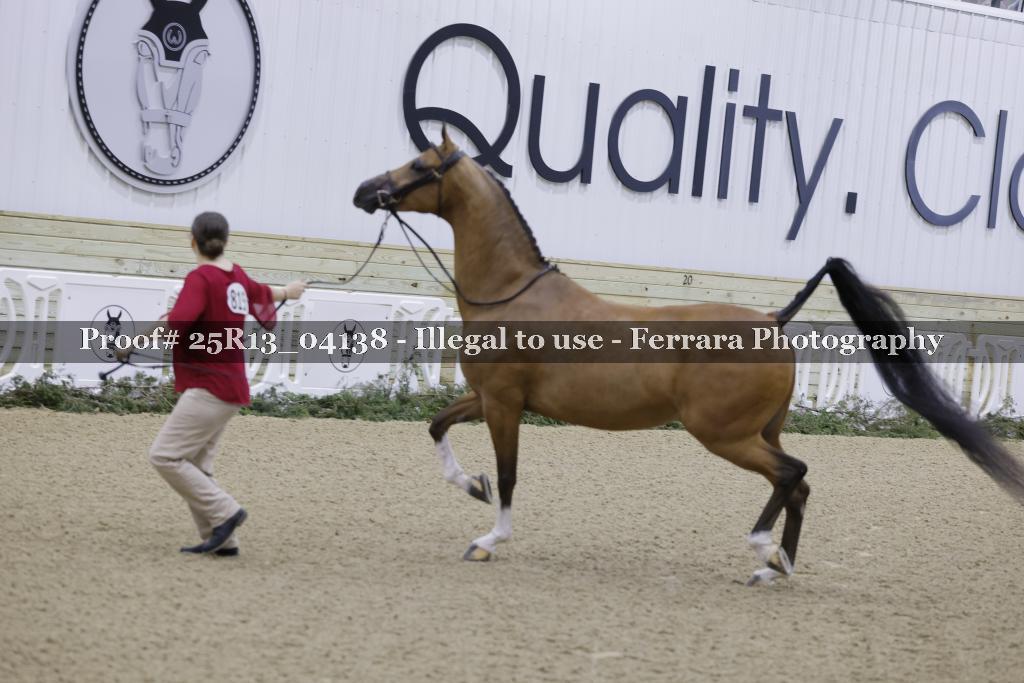 Proof 25R13_04138