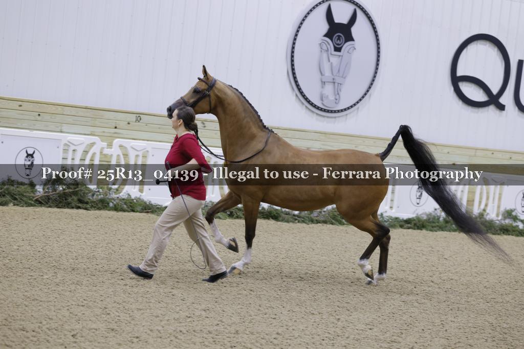 Proof 25R13_04139