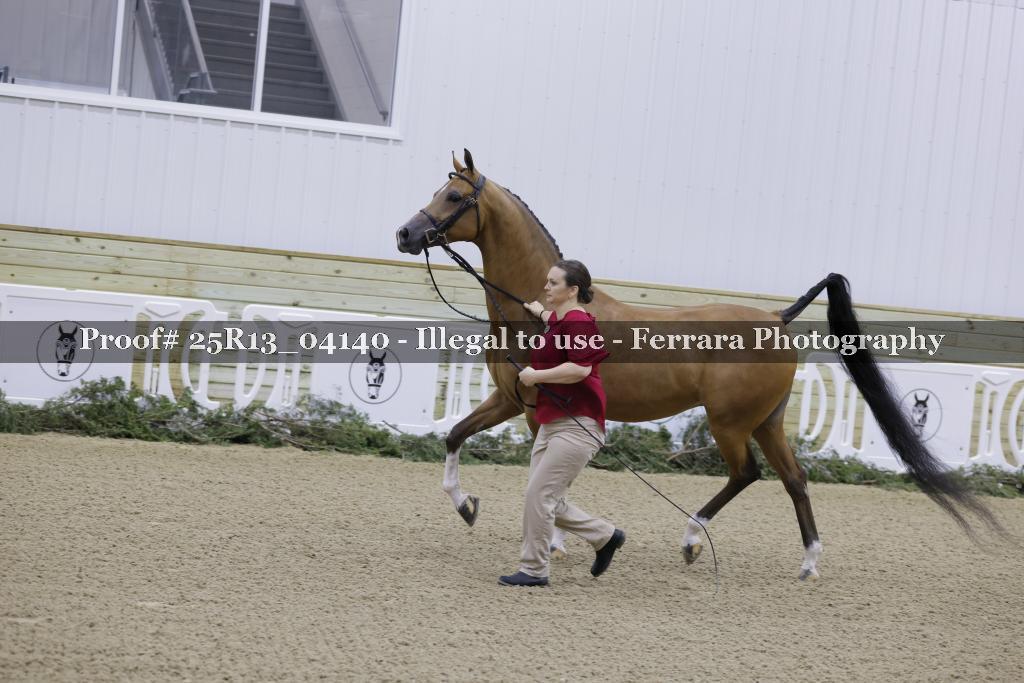 Proof 25R13_04140