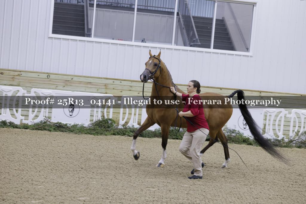 Proof 25R13_04141