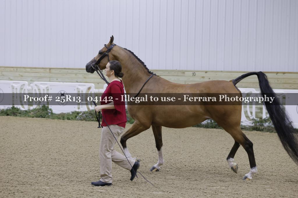 Proof 25R13_04142