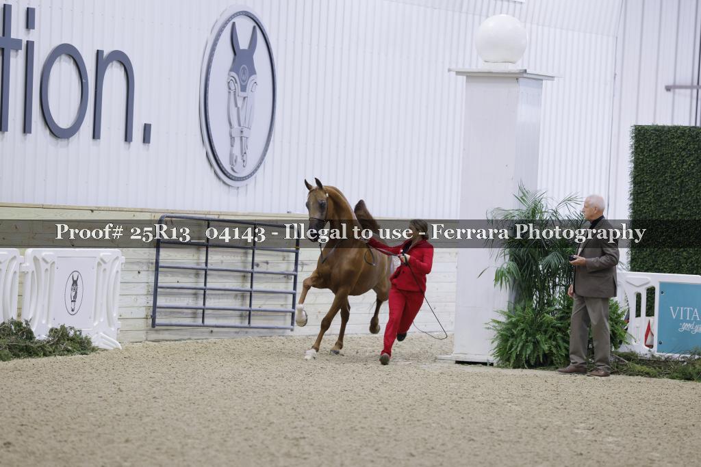 Proof 25R13_04143