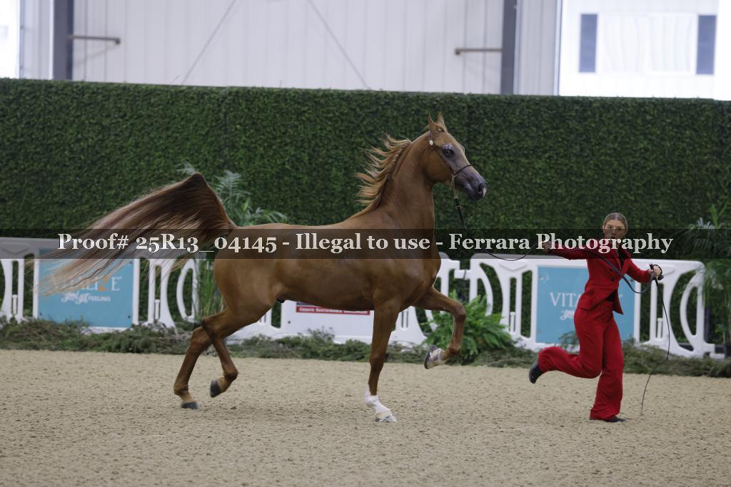 Proof 25R13_04145