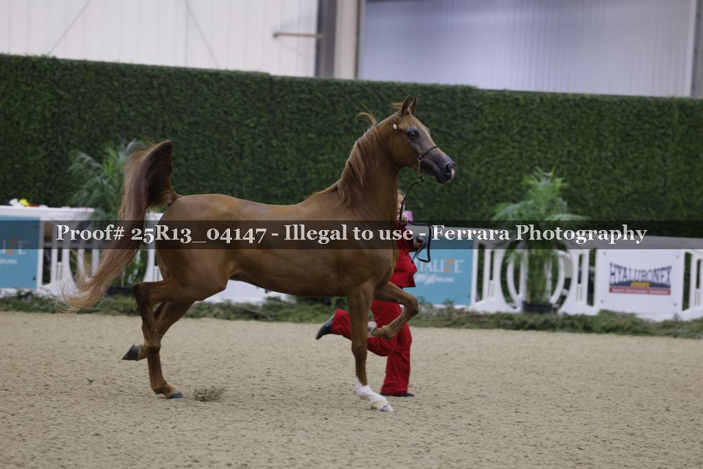 Proof 25R13_04147