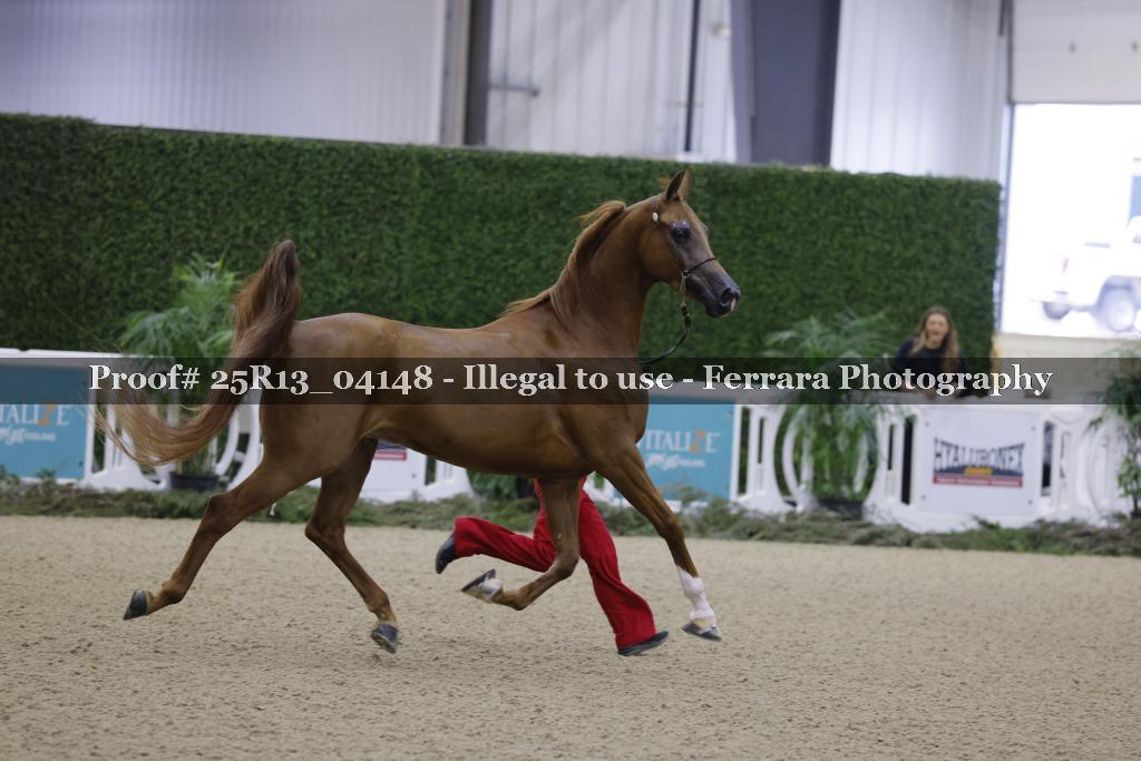 Proof 25R13_04148