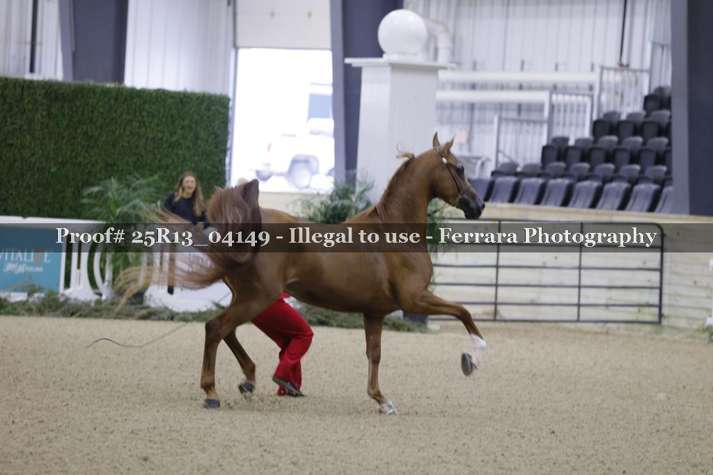 Proof 25R13_04149