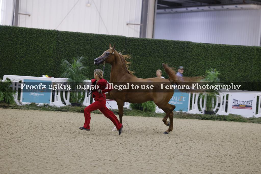 Proof 25R13_04150