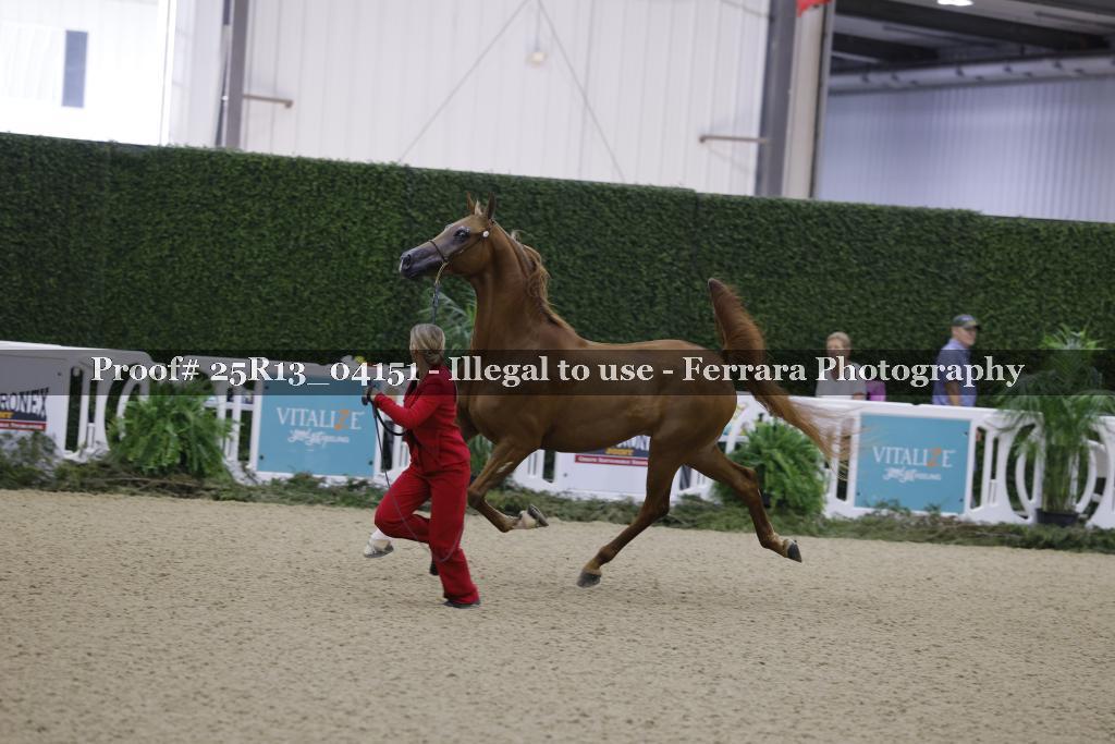 Proof 25R13_04151