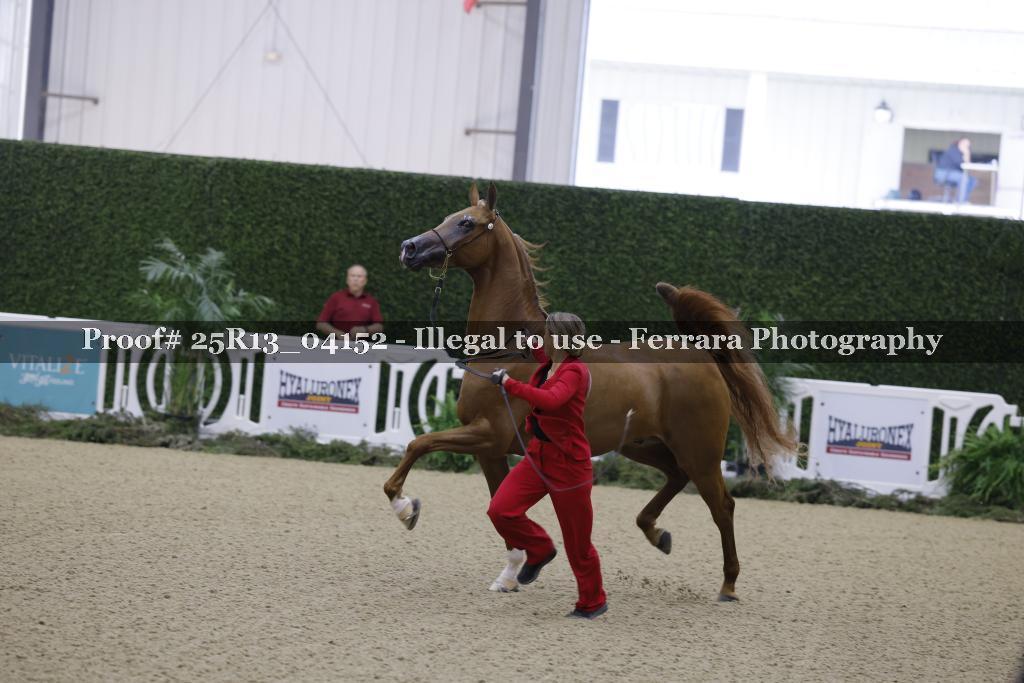 Proof 25R13_04152
