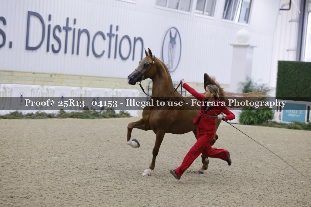 Proof 25R13_04153
