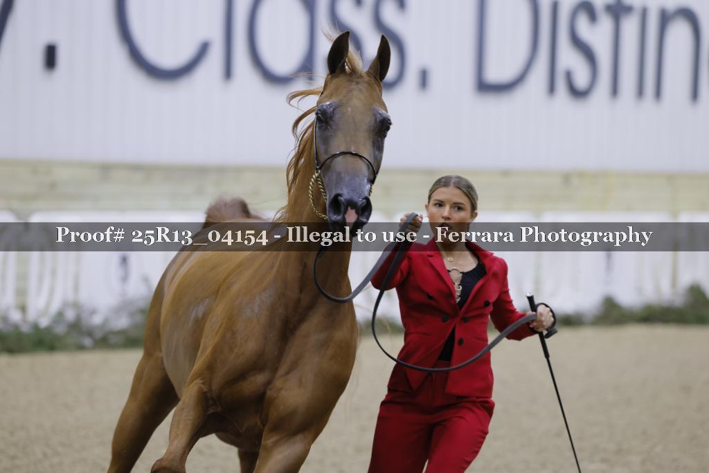 Proof 25R13_04154