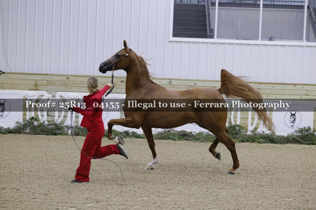 Proof 25R13_04155