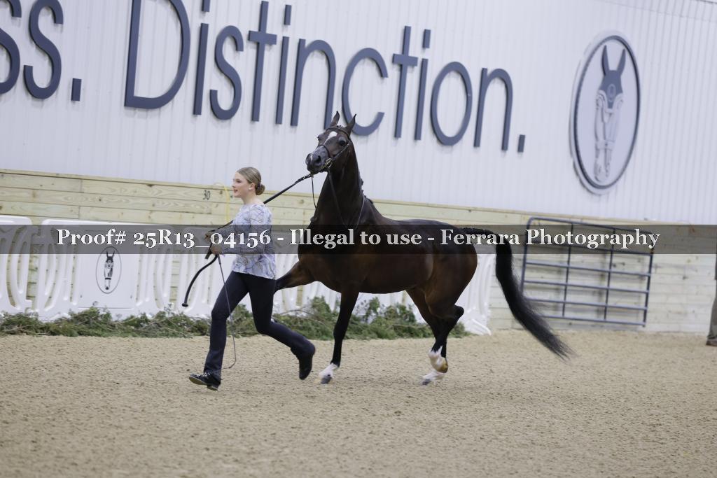 Proof 25R13_04156