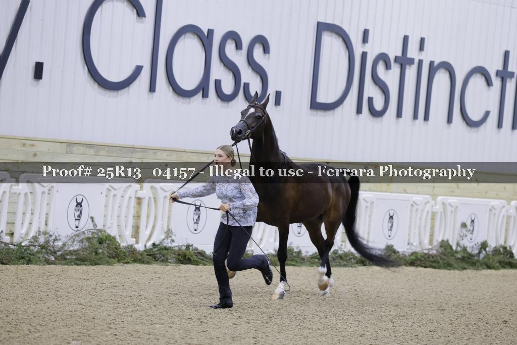 Proof 25R13_04157
