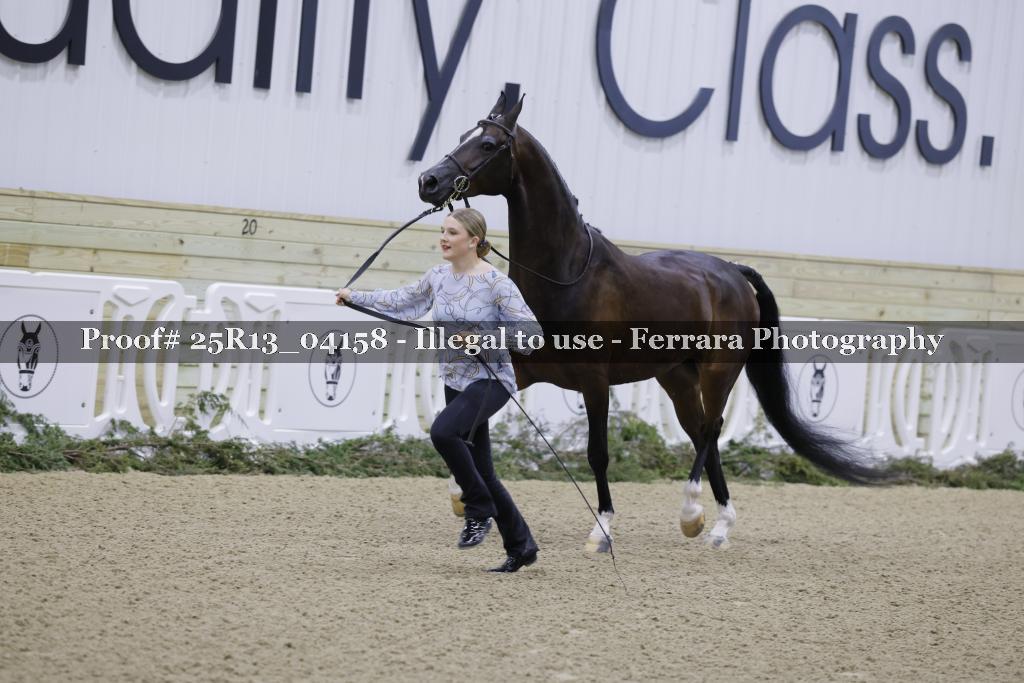 Proof 25R13_04158