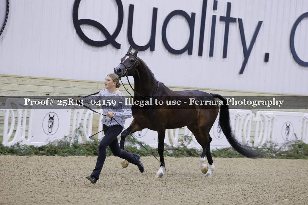 Proof 25R13_04159