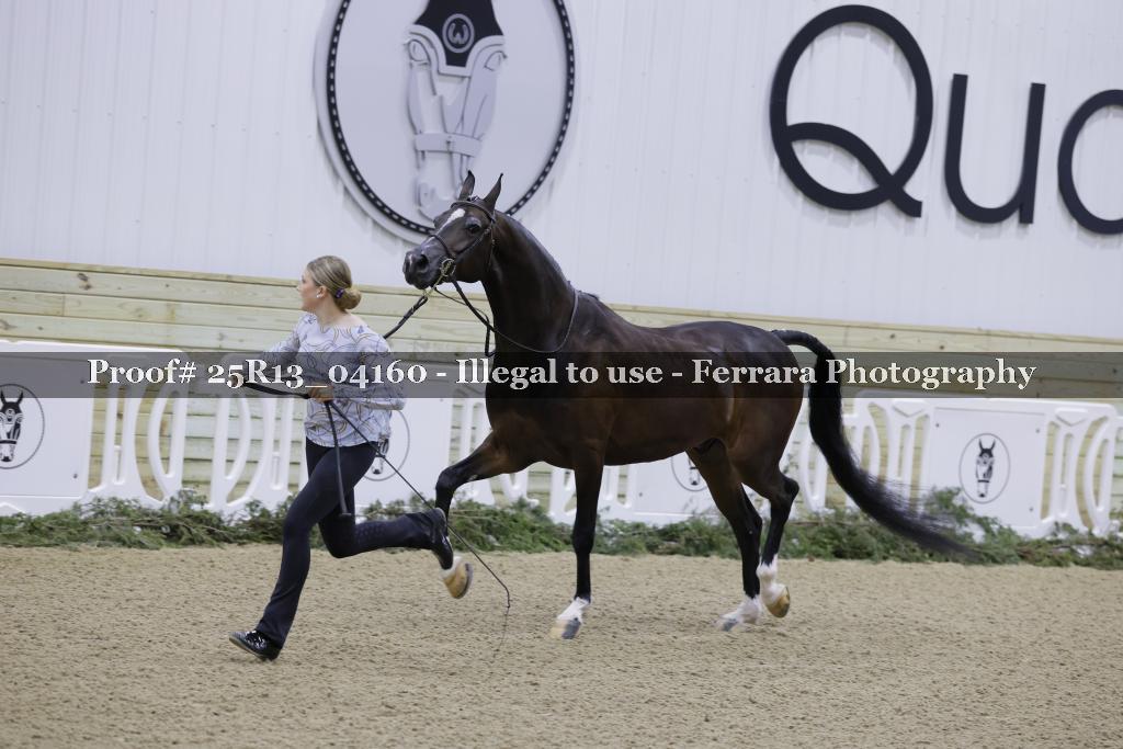 Proof 25R13_04160