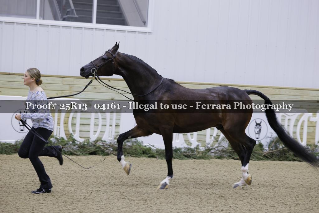 Proof 25R13_04161
