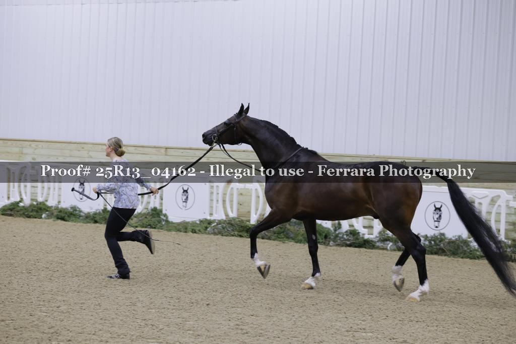 Proof 25R13_04162