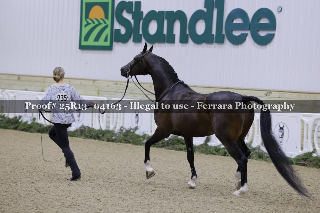 Proof 25R13_04163